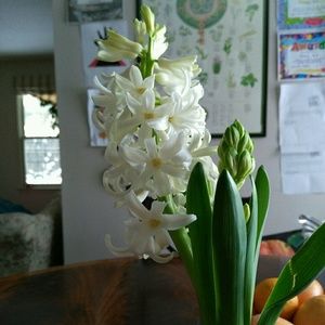 Meet your Posher, Mi